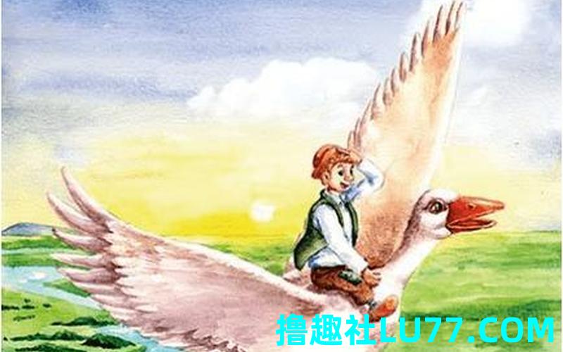 梦见骑大黑鹅 梦见骑大黑鹅