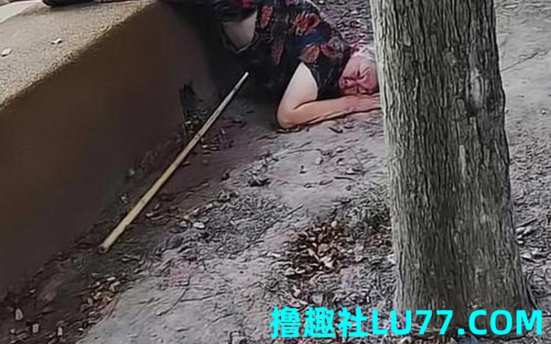 梦见砍腿杆