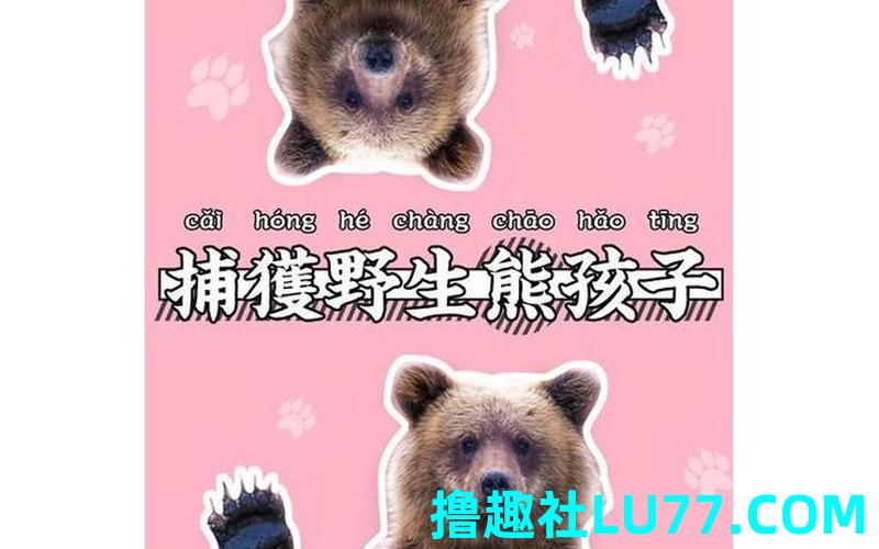 梦见抓小熊 梦见抓小熊