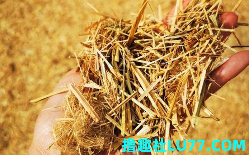 梦见铺稻草 梦见铺稻草