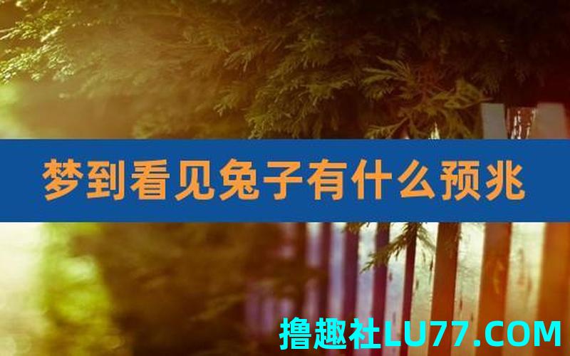 梦见自己打死兔子 梦见自己打死兔子