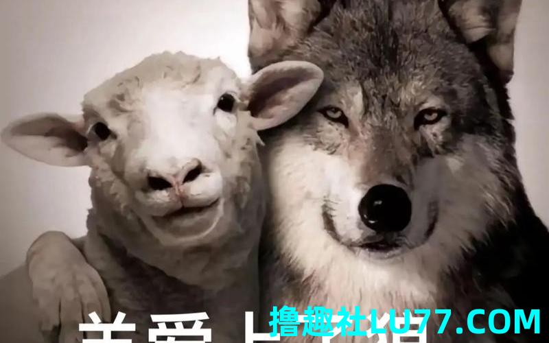 梦见自己被羊咬 梦见自己被羊咬