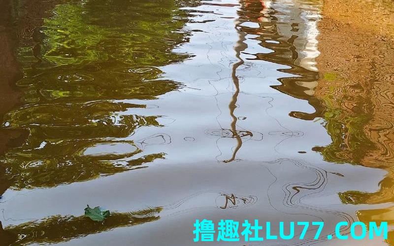 梦见农田堵水