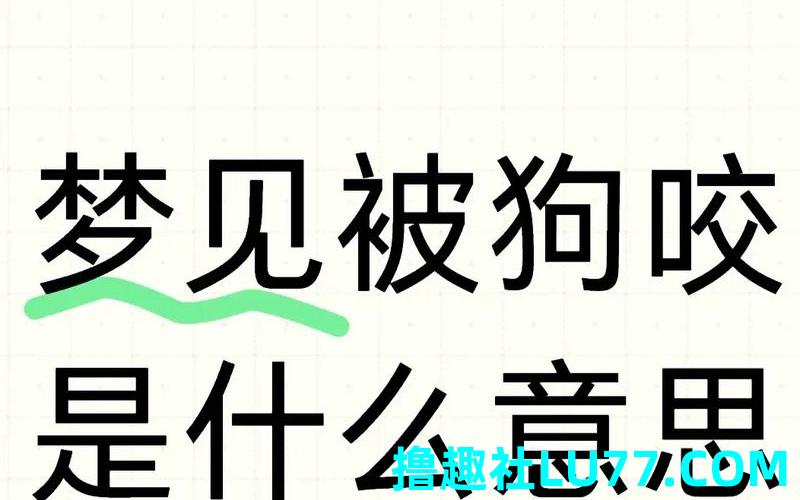 梦见让狗追咬 梦见让狗追咬
