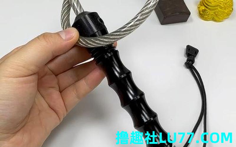 梦见鞭