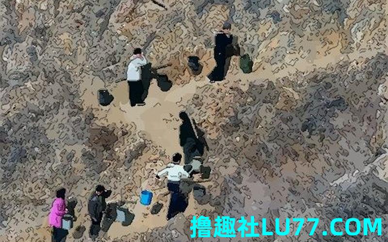 考生梦见上山 考生梦见上山