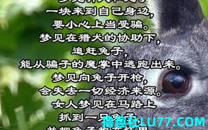 梦见徒 梦见徒