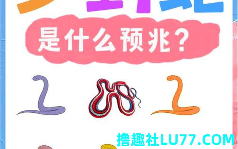梦见一条小黑蛇跟着我
