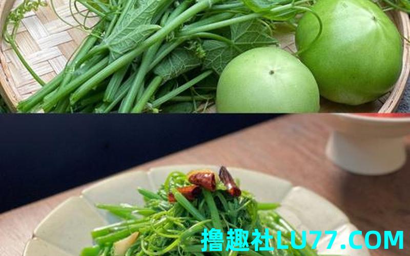梦见摘瓜藤 梦见摘瓜藤