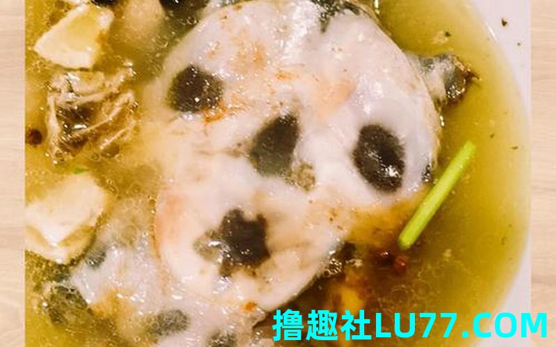 梦见炖一锅龟