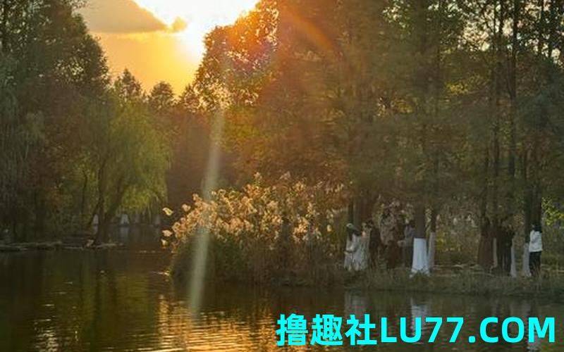 梦见公园 梦见公园