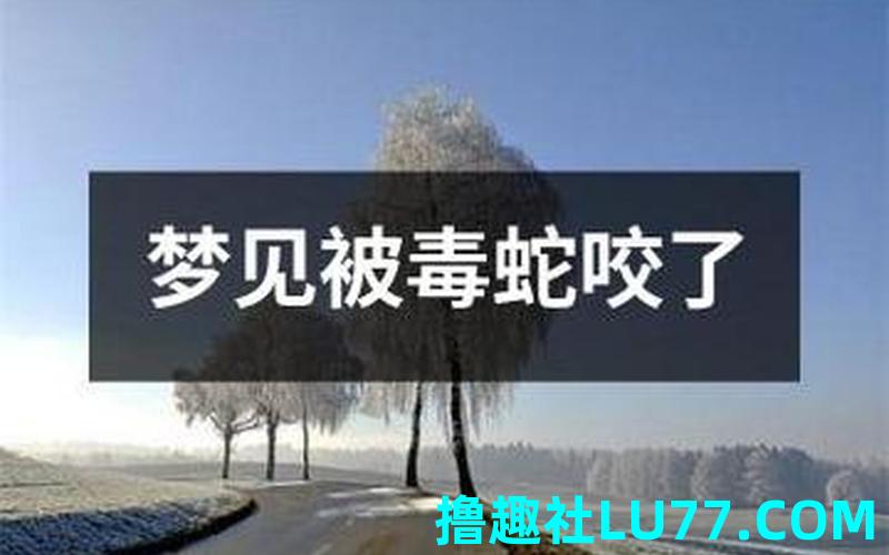 梦见蛇咬人周公解梦 梦见蛇咬人周公解梦