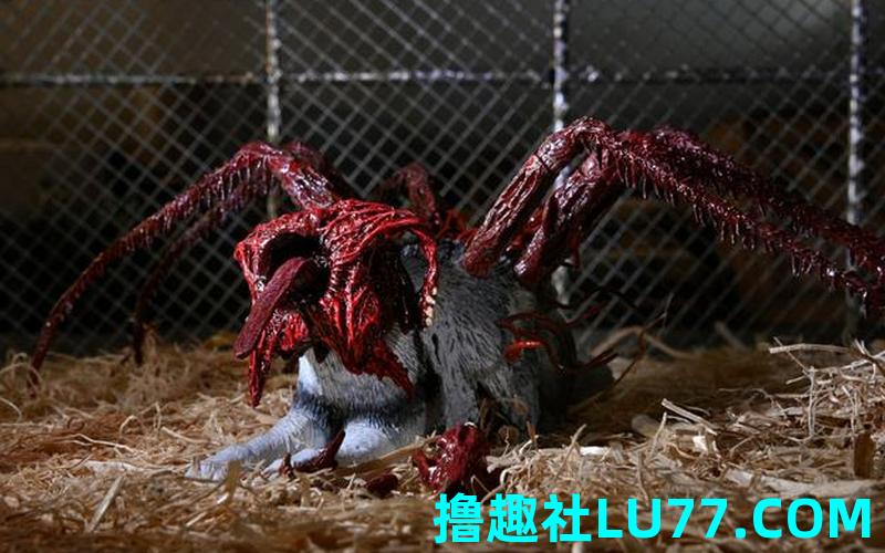 梦见怪形狗是什么意思