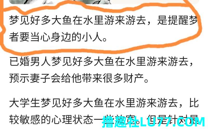 梦见鱼聪明 梦见鱼聪明