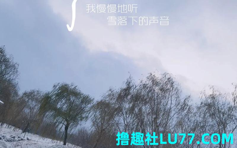 梦见舅家下雪