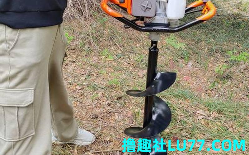 梦见自己挖树坑