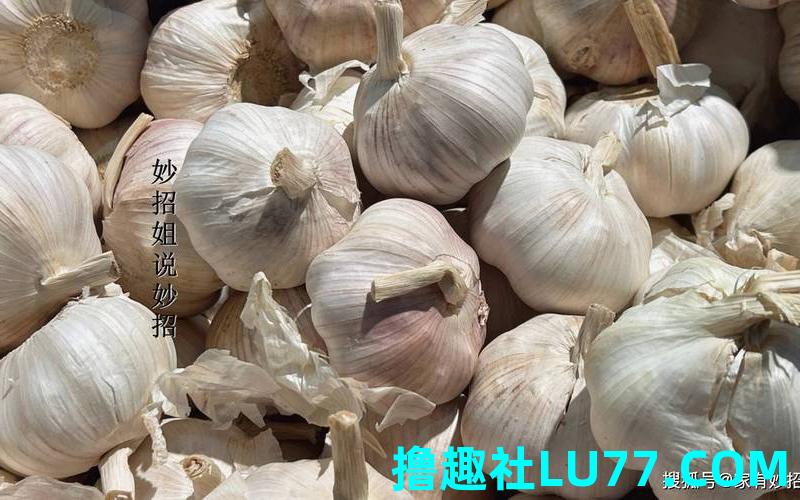 梦见蒜瓣泥