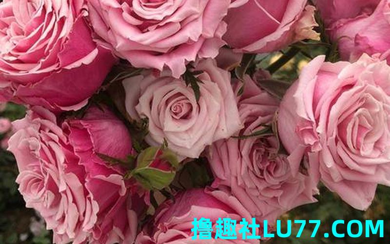 花梦见