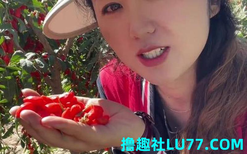 孕妇梦见摘枸杞子