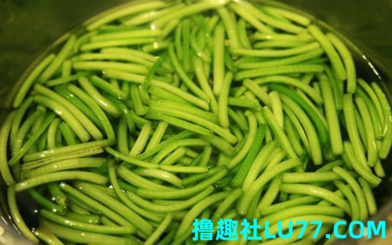 女人梦见红薯藤