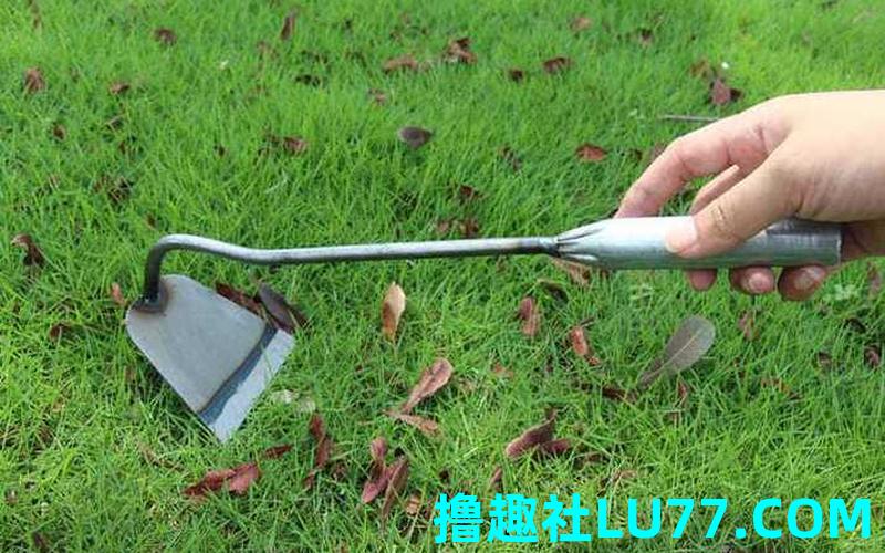 梦见锄 梦见锄