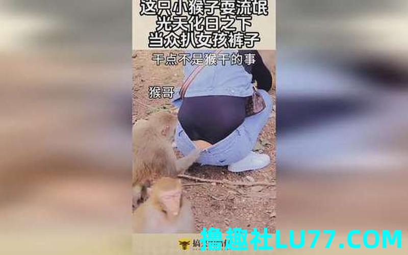 梦见给别人脱裤子