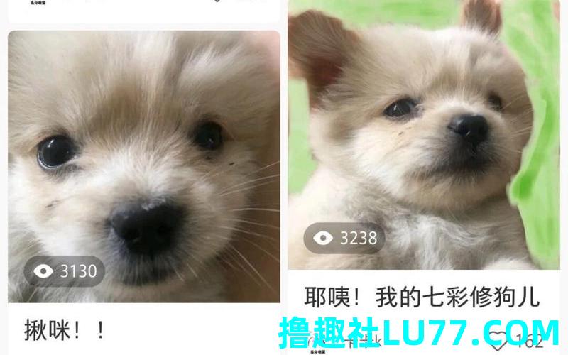梦见小狗变大