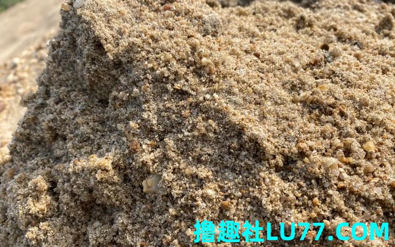 梦见吊黄沙 梦见吊黄沙