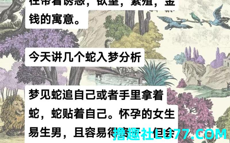 已婚妇女梦见蛇