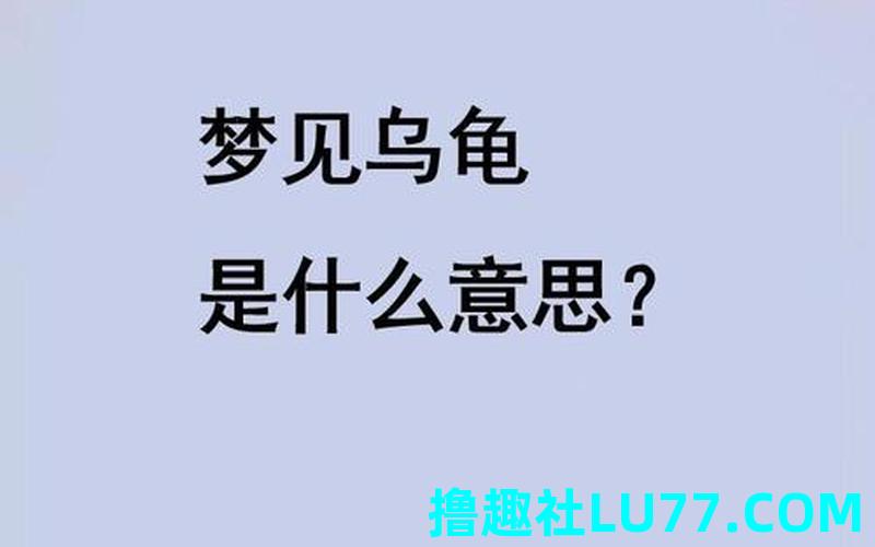 梦见龟下跪