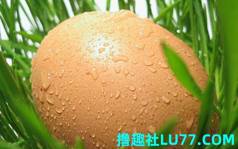 梦见煮好多鸡蛋 梦见煮好多鸡蛋