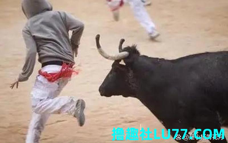 梦见野牛攻击自己