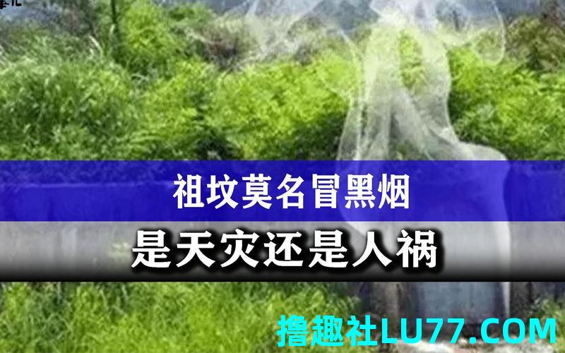 梦见野坟冒烟