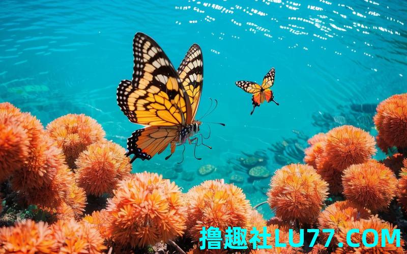 梦见大海珊瑚