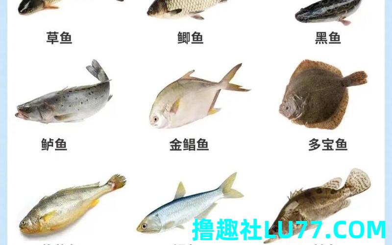 孕妇梦见吃鱼周公解梦