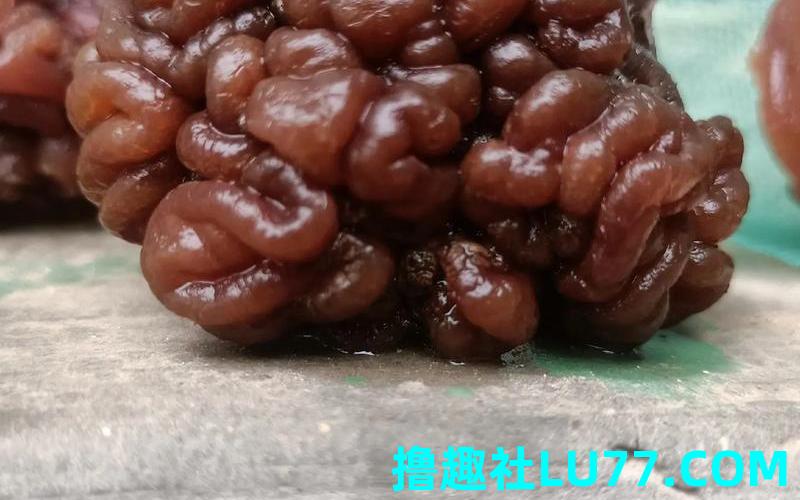 梦见松花菌