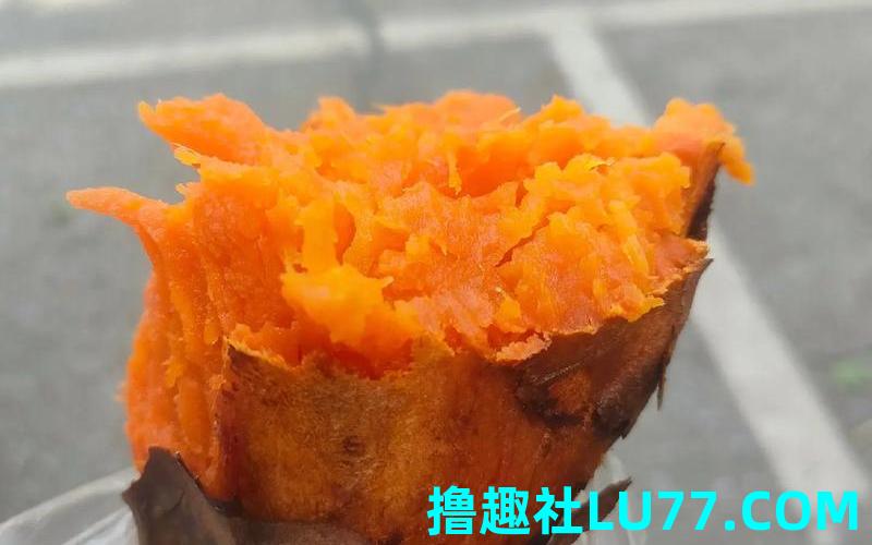 梦见苕