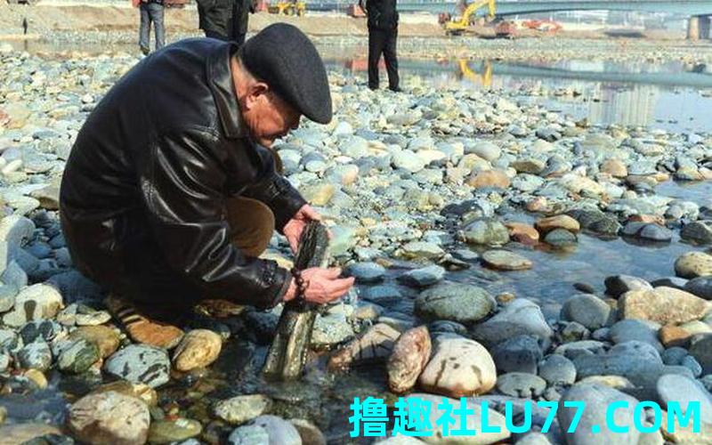 梦见 扔石头 梦见 扔石头
