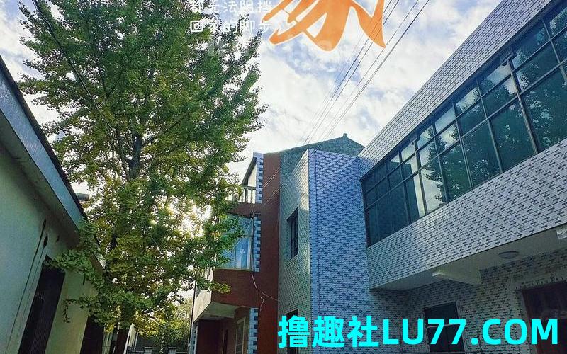 老是梦见回家 老是梦见回家