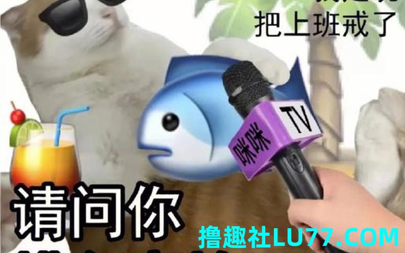 梦里梦见摸鱼