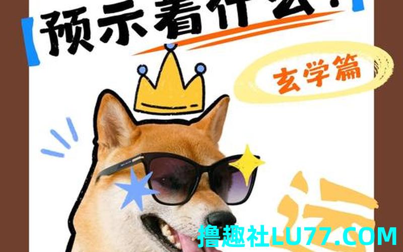 梦见苟 梦见苟