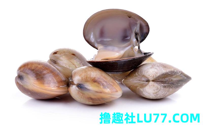 梦见吃贝类 梦见吃贝类