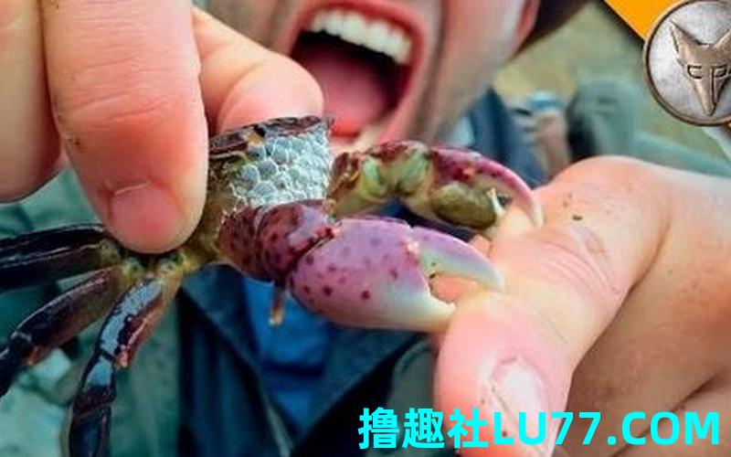 梦见螃蟹缠身 梦见螃蟹缠身