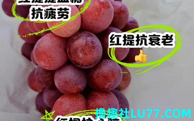 孕妇梦见红提