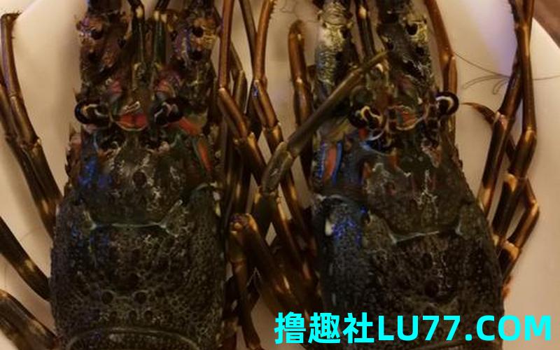 梦见钓小青龙