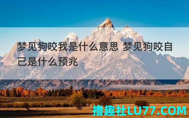 连续梦见狗