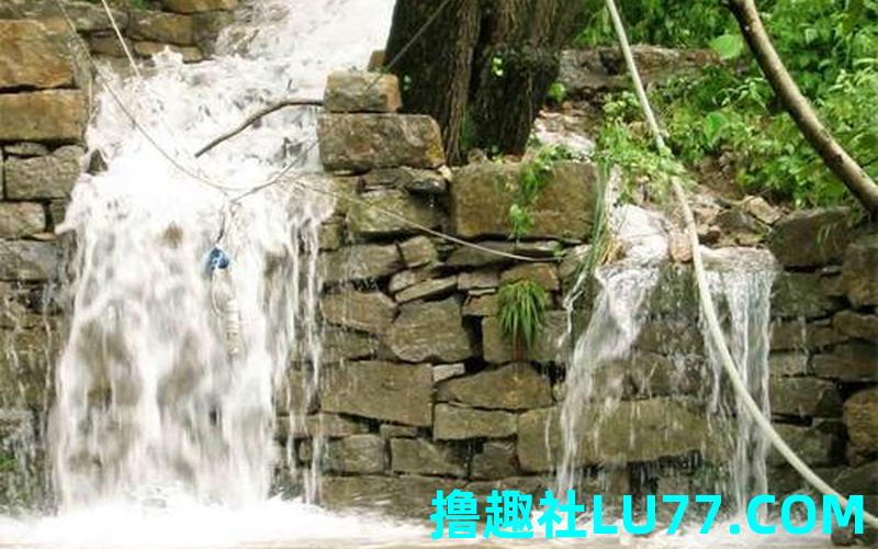 梦见泉