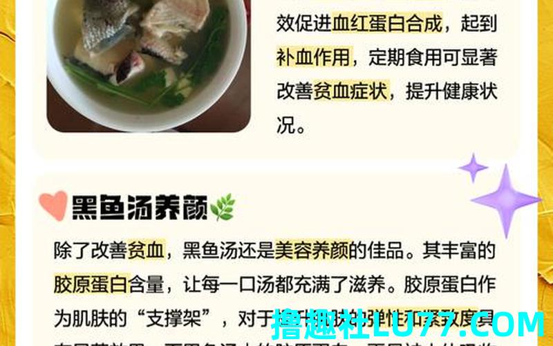 梦见黑鱼汤 梦见黑鱼汤