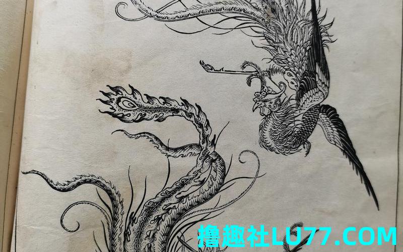 梦见龙狮子