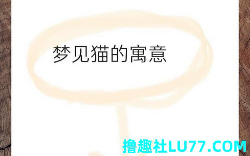 猫梦见 猫梦见